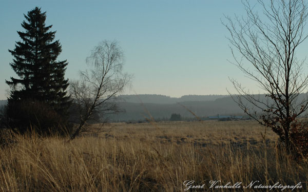 Mochamps ( Prov Luxemburg)