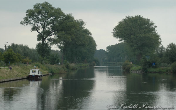 Moerbrugge