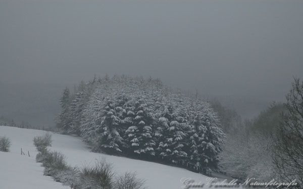 Opkomende sneeuwbui