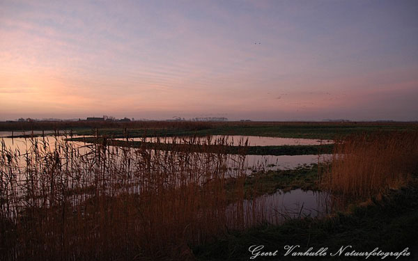 Uitkerkse polder  5