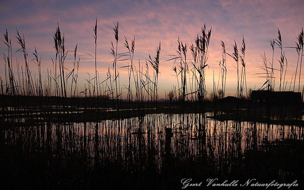 Uitkerkse polder  zonsopkomst