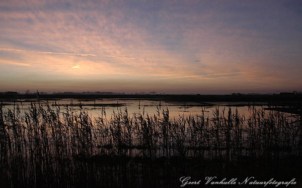 Uitkerkse polder 6