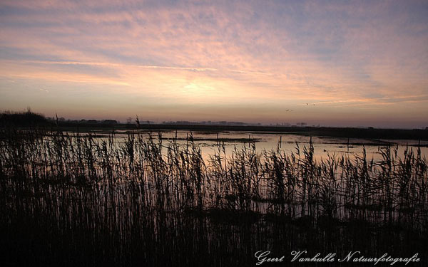 Uitkerkse polder vroege morgen 2