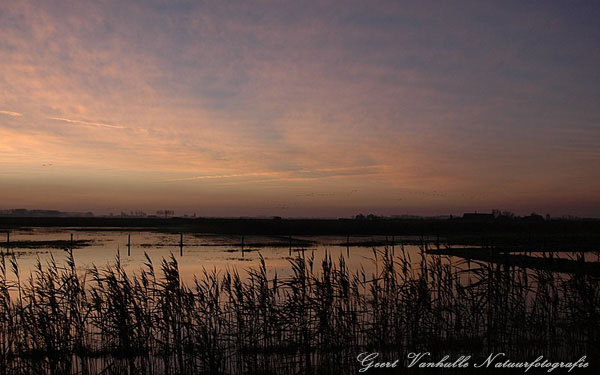 Uitkerkse polder vroege morgen