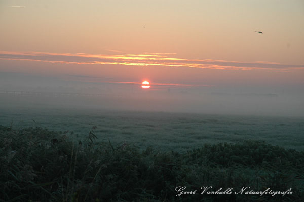 UitkerksePolder11