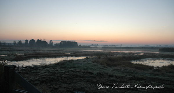 UitkerksePolder6