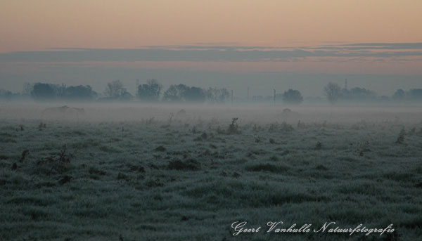 UitkerksePolder7