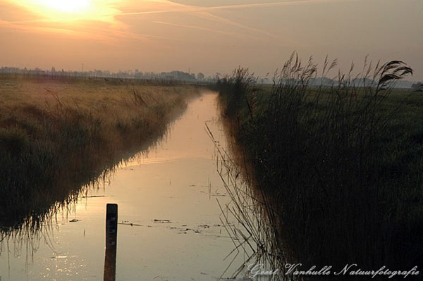 Vroege morgen in de Uitkerkse plder