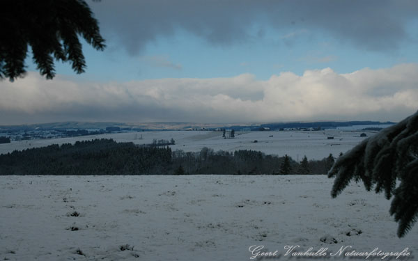 Winterlandschap 2