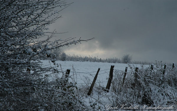 Winterlandschap 3