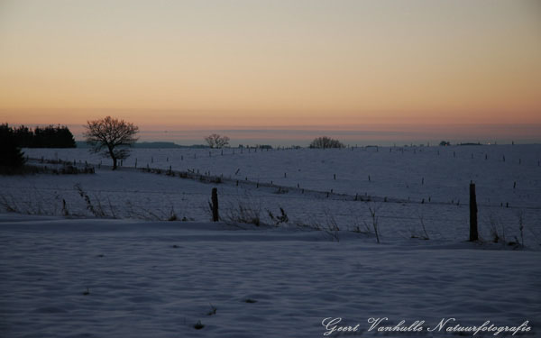 Winters landschjap