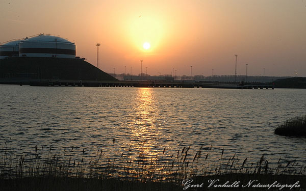 Zonsopkomt te Zeebrugge